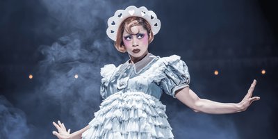 Background for review by Zuzanne BOLLOK