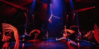 Background for review by Claudia DIACONO