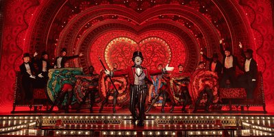 Background for review by Ayala shahar