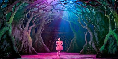 Background for review by Emilie Van Camp