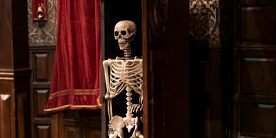 Background for review by Hussein Ahmed