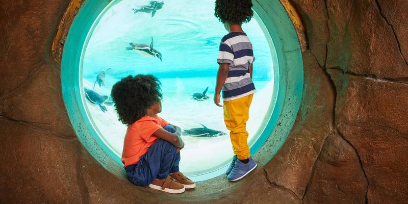 London Zoo