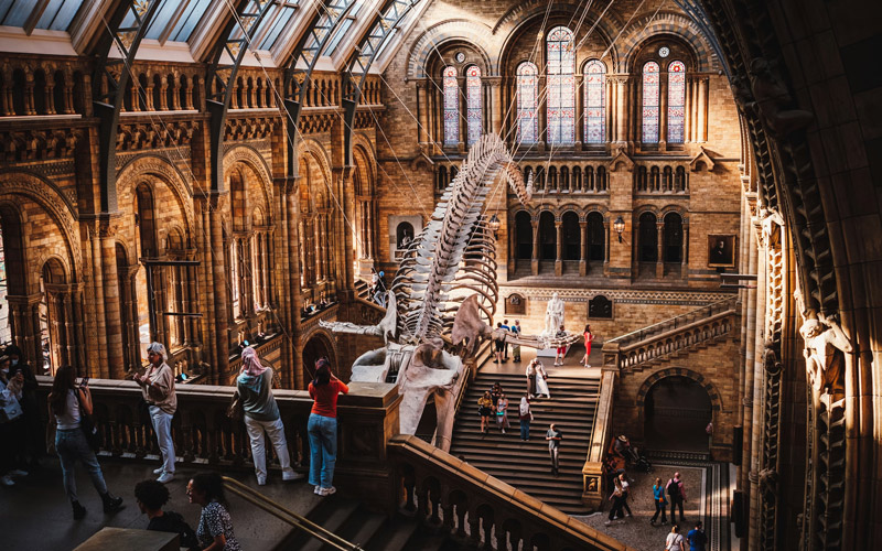 Natural History Museum